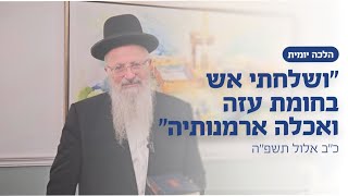 ״ושלחתי אש בחומת עזה ואכלה ארמנותיה״ | הרב שמואל אליהו | הלכה יומית | כ״ב אלול תשפ״ה (הרב שמואל אליהו) - התמונה מוצגת ישירות מתוך אתר האינטרנט יוטיוב. זכויות היוצרים בתמונה שייכות ליוצרה. קישור קרדיט למקור התוכן נמצא בתוך דף הסרטון