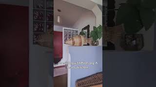 Download lagu Apart #1 mp3 Download lagu Apart #1 mp3