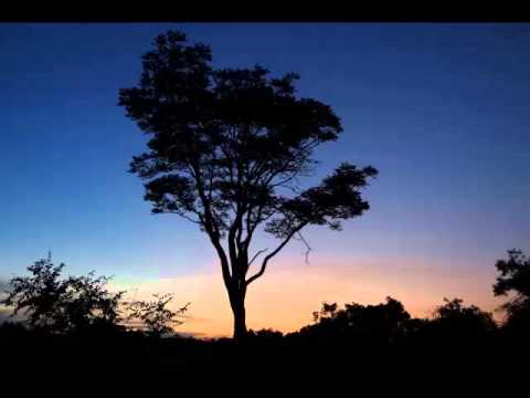 Radmila Jagodić & Zora Dubljević - Tamna noći, tamna li si