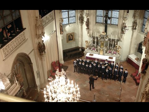 Vienna Boys Choir - Gaudete