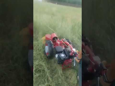фото покос травы любой сложности, спил деревьев, расчистка участка 0