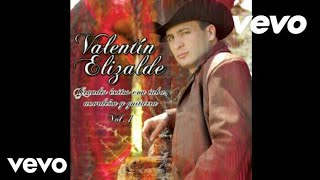 Ayer Baje De La Sierra - Valentin Elizalde (Con Tuba Acordeon Y Guitarra 2007)