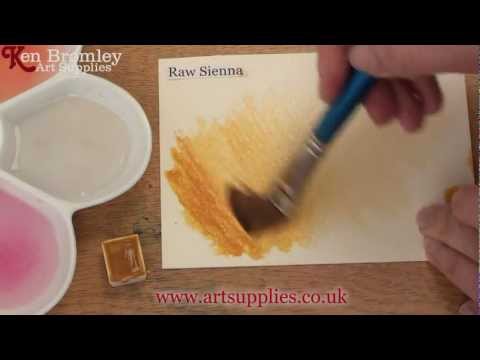 Winsor & Newton Cotman paint Raw Sienna 552