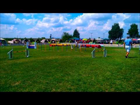 2014 EO Ungarn FlyFly Agility Team und Einzel