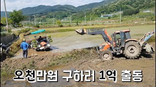 귀촌마니/ 논에 오천만원이 빠졌어요.