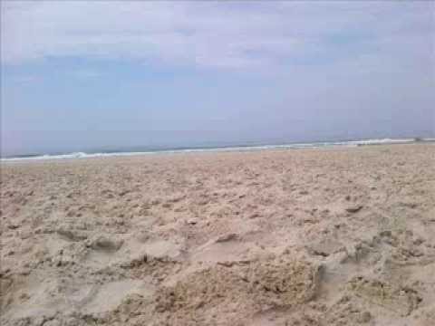 Robert M . Bio Punk - Start Again ( Janicky & Prince Remix )