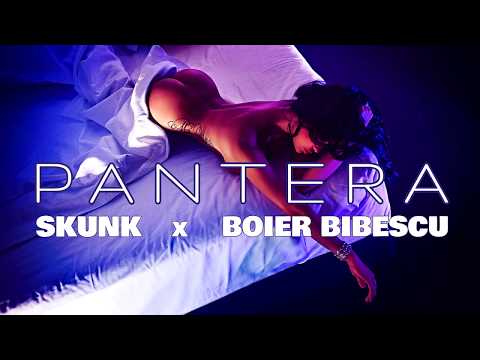 Skunk ❌ Boier Bibescu - Pantera | Audio