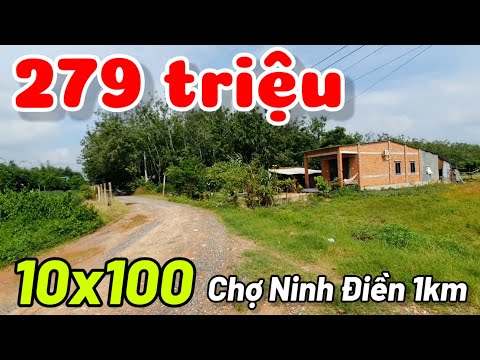 Đất 10x100 giá rẻ 279 triệu cách đường nhựa 200m Chợ Ninh Điền 1km Tây Ninh cách TPHCM 80km
