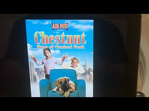 Chestnut: Hero of Central Park review