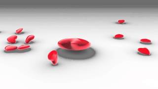 Background - Wedding 21