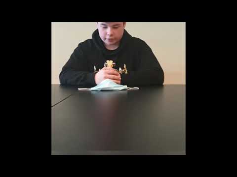 Nederlands literatuurgeschiedenis Presentatie