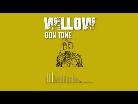 Willow -  Don Tone  #instrumental #typebeat #hiphop #beats #trap #music