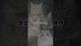 外出中に愛猫の顔が浮かぶ人〜？( ･ω･)ﾉ #PR #アニモCBT #アニモ