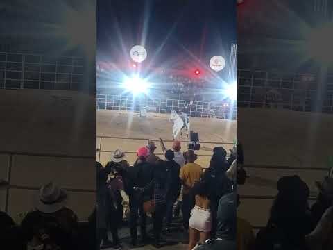 prova de 3 tambores em pequi MG ontem