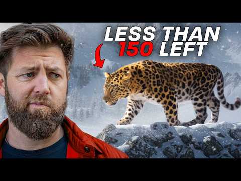 5 of the Rarest Animals on Earth