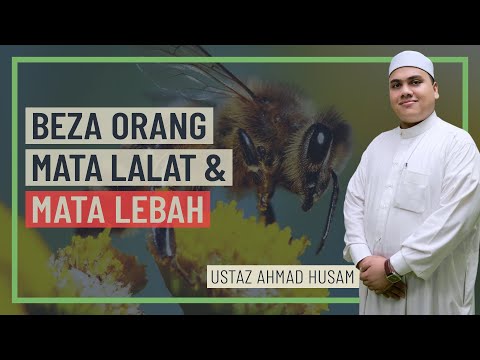 Ustaz Ahmad Husam - Beza Orang Mata Lalat & Mata Lebah