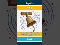 ring - the sound a bell makes video thumbnail