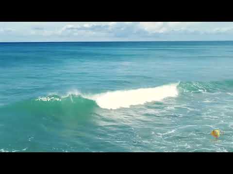 BANZAI AIR BARBADOS Secret Surf Spot Maycocks