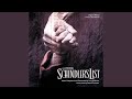 Theme From Schindler's List (From "Schindler's List" Soundtrack)