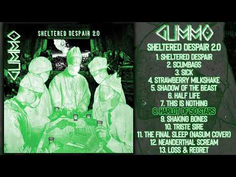 Gummo - Sheltered Despair 2.0 LP FULL ALBUM (2019 - Grindcore / Powerviolence)