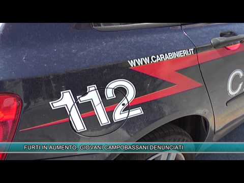 FURTI IN AUMENTO, GIOVANI CAMPOBASSANI DENUNCIATI