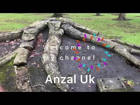 Morning walk to the park🚶🏿