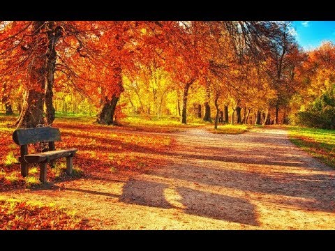 По золотым аллеям осени