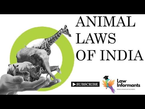 Laws that Protect Animals | Law Informants