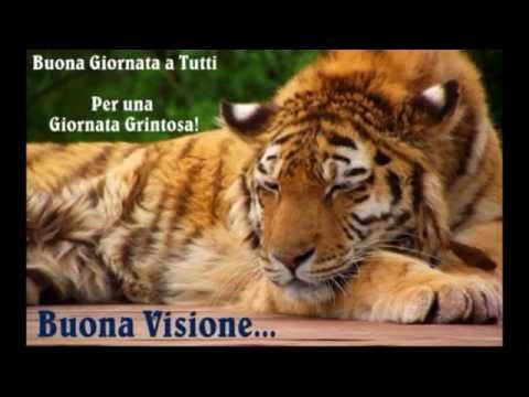 Video per augurare una buona giornata