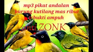 Download lagu suara pikat burung kutilang mas‼️pikat burung kutilang mas ribut mp3 Download lagu suara pikat burung kutilang mas‼️pikat burung kutilang mas ribut mp3
