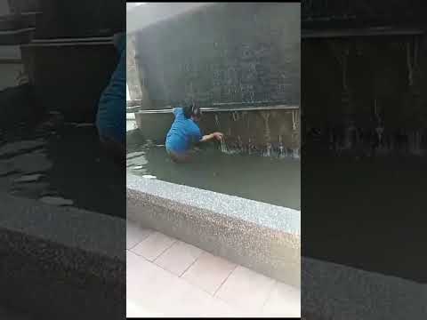 Fish Pond Cleaning