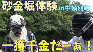 ゴールドラッシュ！　中頓別町　砂金堀場に行って砂金をとった！