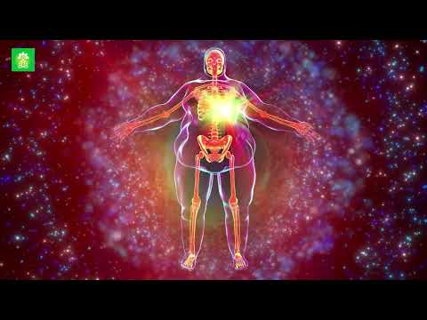 Manifest Your Ideal Body | Body Transformation Meditation| 295.8 Hz Binaural Beats