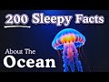 4 Hours Of Relaxing Ocean Facts To Fall Asleep To Dreamy Science