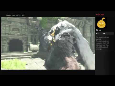 Some Play: The Last Guardian pt. 4