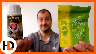 Grow Battle: Microbes vs. Roots!