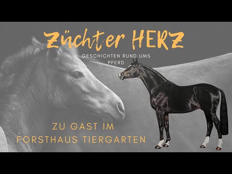 ZüchterHERZ zu Gast im Forsthaus Tiergarten - im Gespräch mit Hubertus Klein