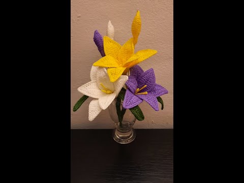 Brandusa crosetata pas cu pas