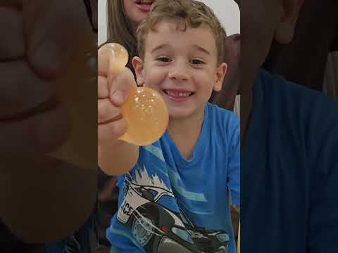 Tina Nina i Aki otvaraju dumplinge