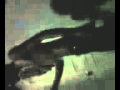 anak anjiang versi punk rock cucian - YouTube