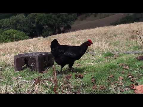 Visitamos Guaca Santander, la puerta de oro de la provincia García Rovira 😍