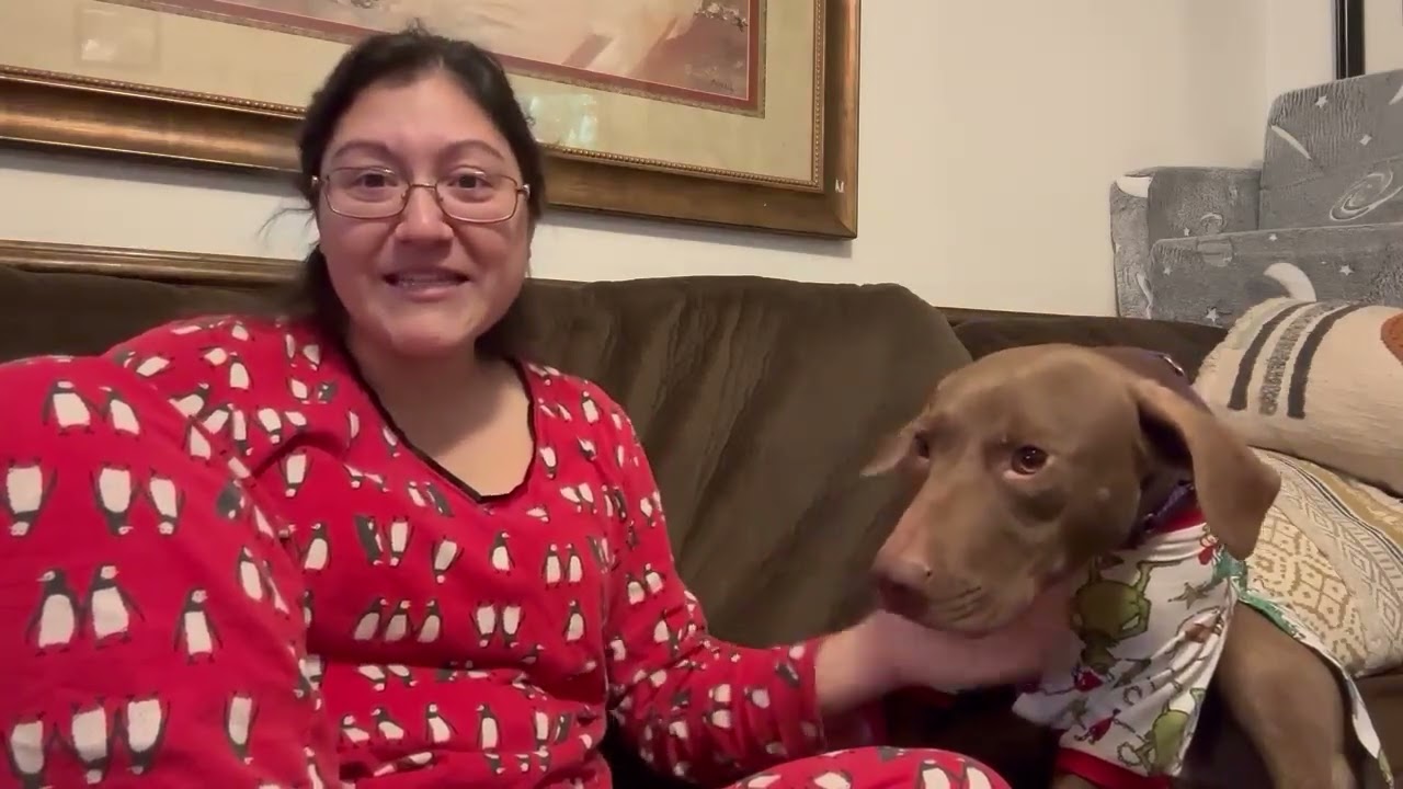Brownie, a Adoptable mixed breed in Hartsville, SC video 2/5