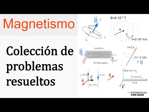 PROBLEMAS RESUELTOS DE MAGNETISMO. Física Básica