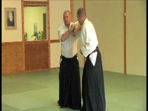 Aikido In Grand Rapids By Germanov Sensei-Nikkyo at the Toyoda Center, Grand Rapids