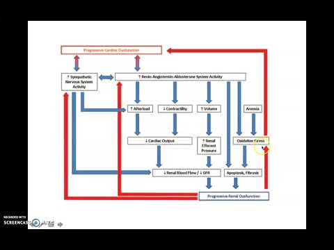Síndrome Cardiorrenal