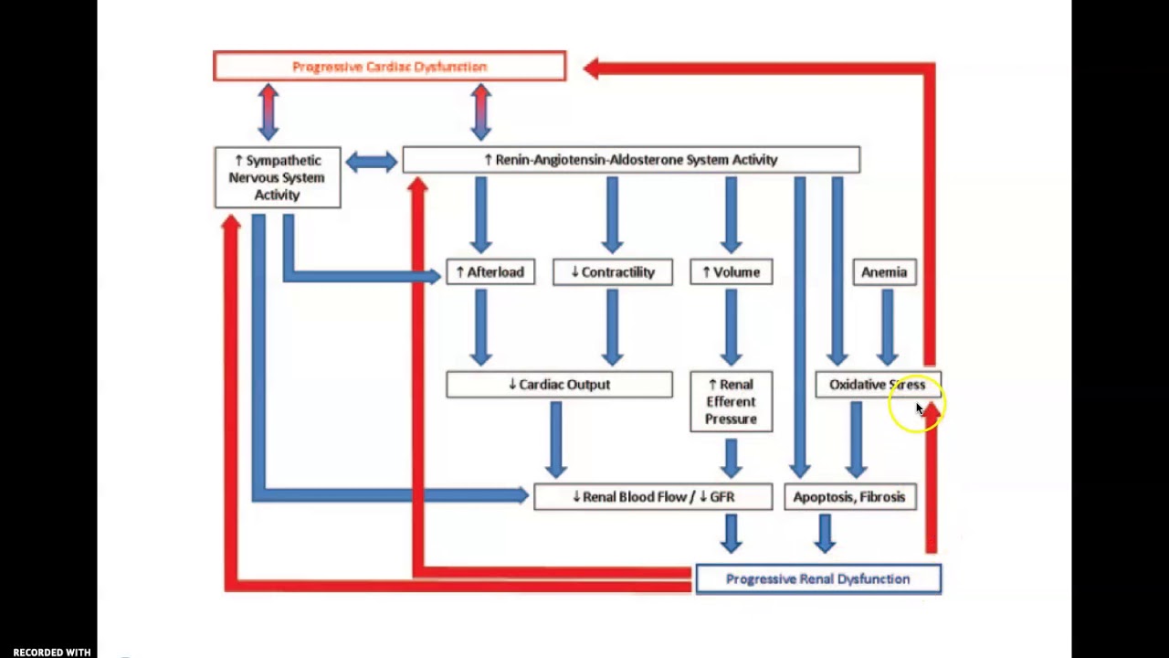 Síndrome Cardiorrenal