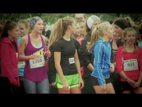 BORG 2700 BORG/BGZ Lauf 2016
