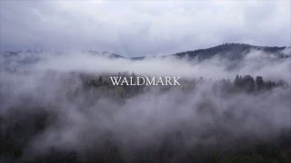 Alastor- Waldmark teaser