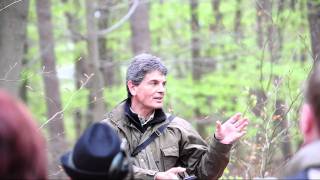preview picture of video 'Vogelstimmenwanderung im Nassen Tal von Walldorf'