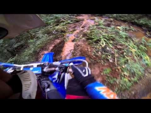 Os Quati -  LOKOLAMA 2015!